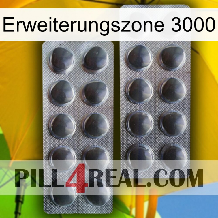 Exten Zone 3000 31